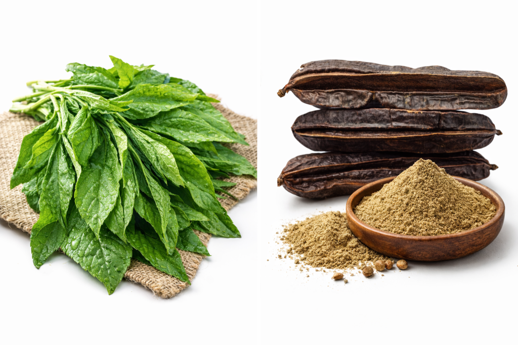 chatgpt image mar 10, 2026, 12 29 42 pm