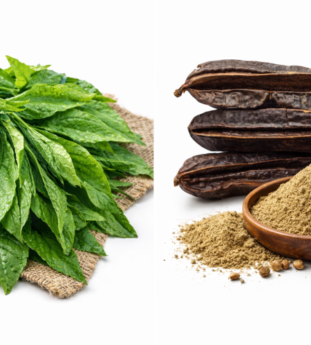 chatgpt image mar 10, 2026, 12 29 42 pm